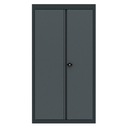 [BG62TCD2] Top cabinet 2 doors Expert